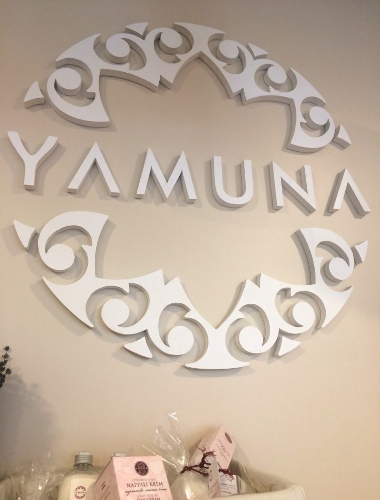 Yamuna logo